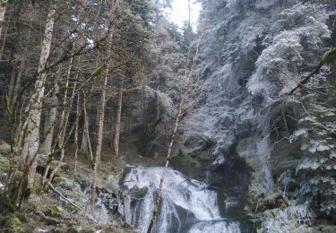 Tocht Stappen Fontaine - Le Vallon des Forges par la ferme Durand et le barrage d'Engins - Photo