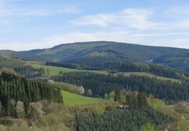 Excursión A pie Schmallenberg - Lenne Rundweg LE2 - Photo