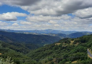 Trail Walking Marcols-les-Eaux - Marcols les Eaux 18km - Photo