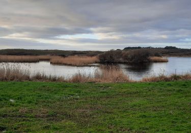 Trail Walking Guidel - PR_56_Guidel_AA_01_Autour-Du-Loc'h_Circuit3b_20220120 - Photo