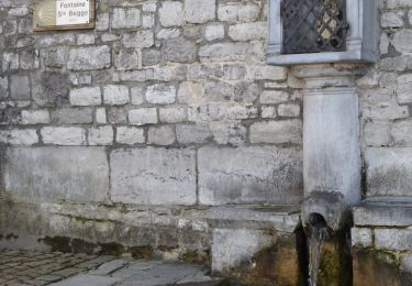 Randonnée Marche Andenne - RB-Na-17 - Andenne - Via raccourci - 2025-01-20 - Photo