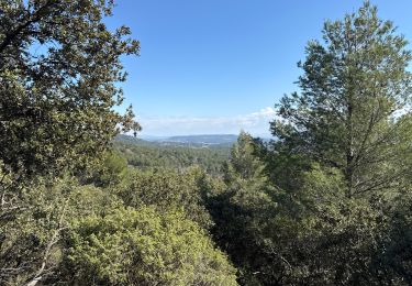 Tocht Stappen Lauris - PF-Lauris - Roquefraiche - Vallon de Vallauris - Combe de Recaute - Photo