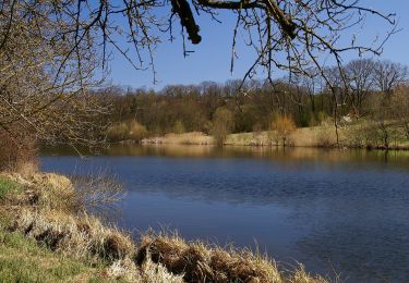 Tour Zu Fuß Zaberfeld - Seenweg in Zaberfeld - Photo