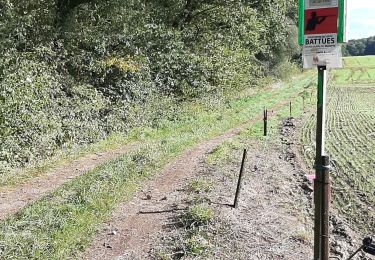 Trail Walking Lobbes - Pont jaupart 14 10 23 - Photo