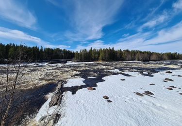 Randonnée A pied  - Tvåälvsleden - Photo