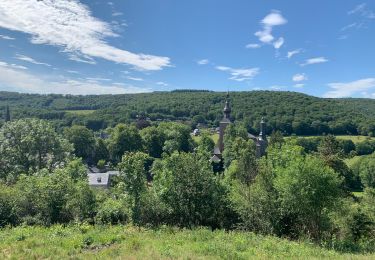 Trail Mountain bike Viroinval - Vierves - Olloy - Petigny - Nismes - Photo