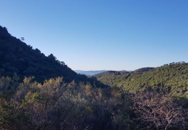 Trail Walking Saint-Raphaël - rando du 3 décembre 2021 - Photo
