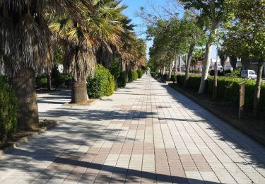 Tour Wandern  - casares à casar de casares - Photo
