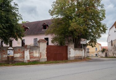 Percorso A piedi Všemyslice - naučná stezka Za Neznašovským kohoutem - Photo