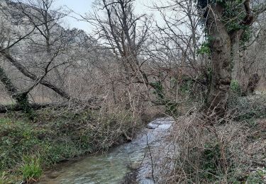 Trail Walking Saou - Saou Lestang 7 km. - Photo