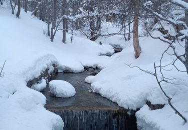 Excursión Raquetas de nieve Allos - Rando Raquettes Val d'Allos  - Photo