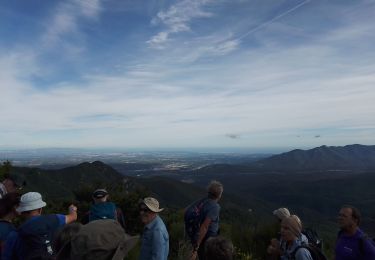 Percorso Marcia Maureillas-las-Illas - Le chemin des Trabucaires Cerret (3/10/2019° - Photo