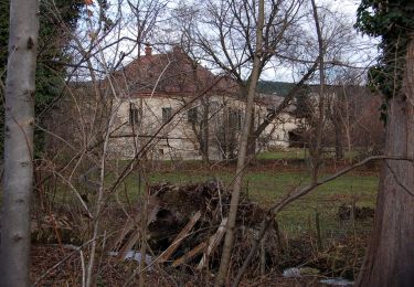Excursión A pie Gemeinde Bad Fischau-Brunn - Brunner Runde - Photo