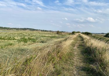 Tocht Wegfiets Le Touquet-Paris-Plage - Le Touquet Vélo  - Photo