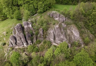 Tocht Te voet Litzendorf - Ellertal Nord - Stammberg - Rundweg - Photo