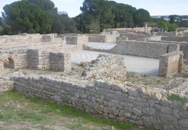 Excursión Senderismo l'Escala - Empuriès - Photo