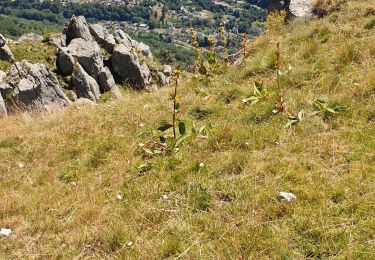 Trail Walking Orcival - la bannette d ordanche - Photo