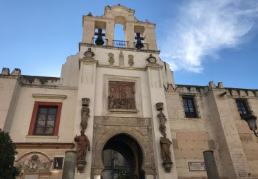 Trail Walking Seville - 20190102 Séville  - Photo