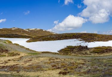 Tocht Te voet San Martin de Tor - San Martino in Badia - St. Martin in Thurn - IT-1 - Photo