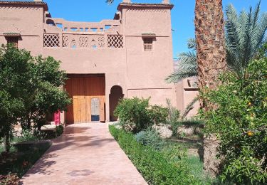 Tour Auto M'Hamid El Ghizlane ⵎⵃⴰⵎⵉⴷ ⵍⵖⵯⵣⵍⴰⵏ امحاميد الغزلان - Ouled Driss Kasbah Itram - Photo