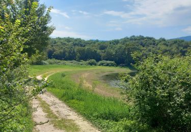 Trail Walking Arboys-en-Bugey - lac darmaille en amoureux - Photo