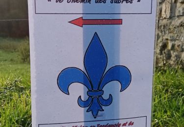Trail Walking Oulchy-le-Château - Saponay du 19/11/2023 - Photo