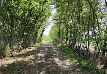 Trail Mountain bike Saint-Priest - Saint-Priest Cyclisme sur route - Photo
