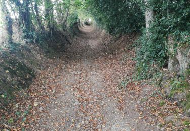 Trail Walking Pont-d'Ouilly - Pont d'ouilly 220920 - Photo