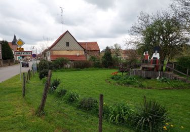 Randonnée Vélo de route Rohrbach-lès-Bitche - EXT80 Rohrbach les Bitche-01 - Photo