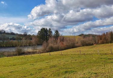 Tocht Stappen Gedinne - Balade à Malvoisin - Gedinne - Photo