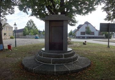 Randonnée A pied Groß Köris - Lesefährte Waldweisen - Photo