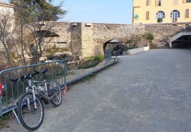 Trail Mountain bike Draguignan - 20220301 vtt route - Photo