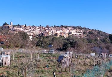 Trail Mountain bike Draguignan - 20220111 vtt route - Photo