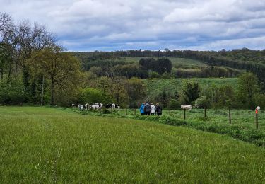 Tocht Stappen Philippeville - Balade à Omezée - Photo