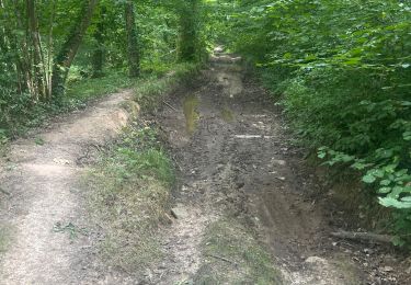 Trail Walking Bruyères-le-Châtel - R2 a Roche Turpin - Photo