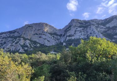 Excursión Senderismo Mas-de-Londres - face nord pic Saint Loup  - Photo