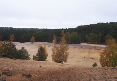 Trail Walking Nemours - jc - Photo