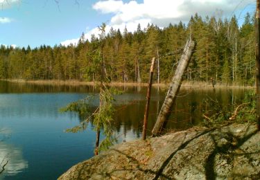 Tour Zu Fuß Espoo - Reitti 5.6 km - Photo