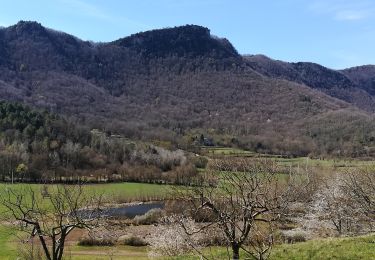 Percorso A piedi Olot - Cuursa de la Moixina - Photo