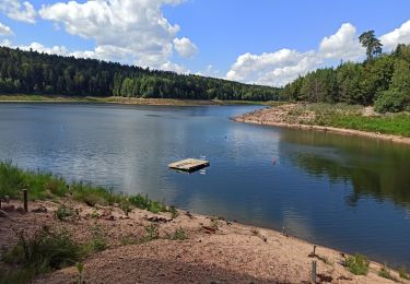 Trail Mountain bike Celles-sur-Plaine - Tour lac Pierre Percée 2020 - Photo