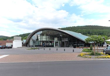 Tour Zu Fuß Bad Orb - Bad Orb Rundwanderweg 11 (Haberstalrunde) - Photo