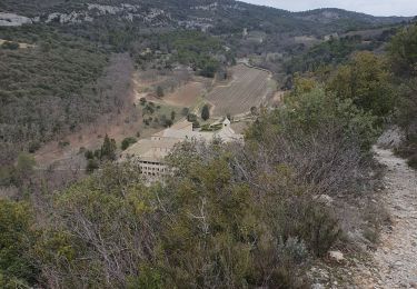 Trail Walking Gordes - Sénanque les Bories Gordes - Photo