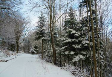 Trail Walking Barr - en partant du carrefour de la Bloss - Photo