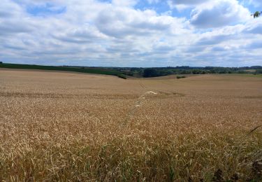 Tour Wandern Walcourt - Chastrès Fraire Chastrès  - Photo