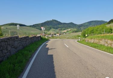 Excursión A pie  - AugenBlickrunde Baden-Baden-Neuweier - Photo