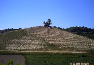 Randonnée A pied Monteu Roero - Sentiero dei Fossili - Photo