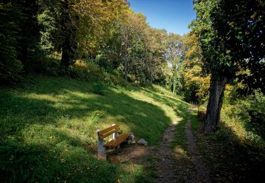 Excursión A pie Gemeinde Baden - Beethoven Panoramaweg - Photo