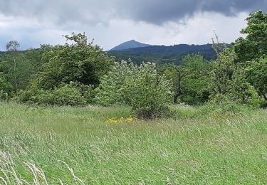 Randonnée Marche Blanzat - PLATEAU DE LA BADE - Photo