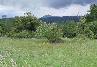 Trail Walking Blanzat - PLATEAU DE LA BADE - Photo