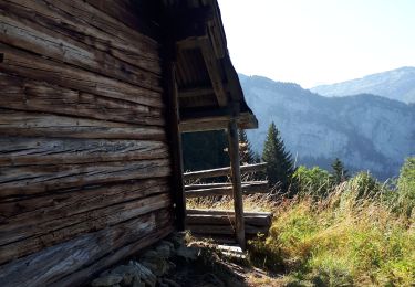 Percorso Marcia Glières-Val-de-Borne - Petit Bornand - Pointe d'Andey 29/07/2018 - Photo